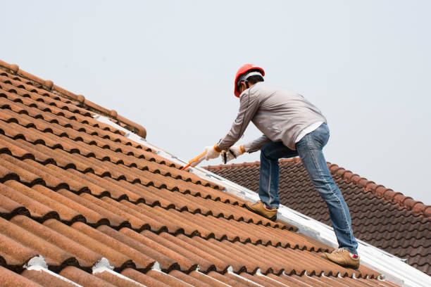 Best Chimney Flashing Repair  in Alturas, CA